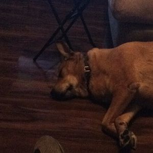 Meet your Posher, Rick